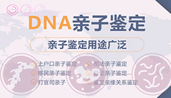 吉林DNA亲子鉴定多长时间可以出结果，吉林隐私亲子鉴定办理的条件