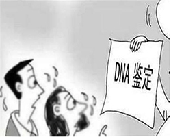 吉林怎么做怀孕亲子鉴定