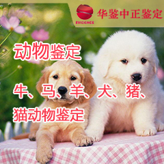 吉林动物鉴定