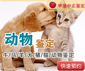 吉林动物鉴定